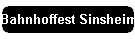 Bahnhoffest Sinsheim