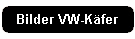 Bilder VW-Kfer
